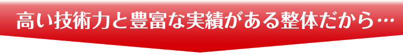 高い技術力補豊富な実績がある整体だから